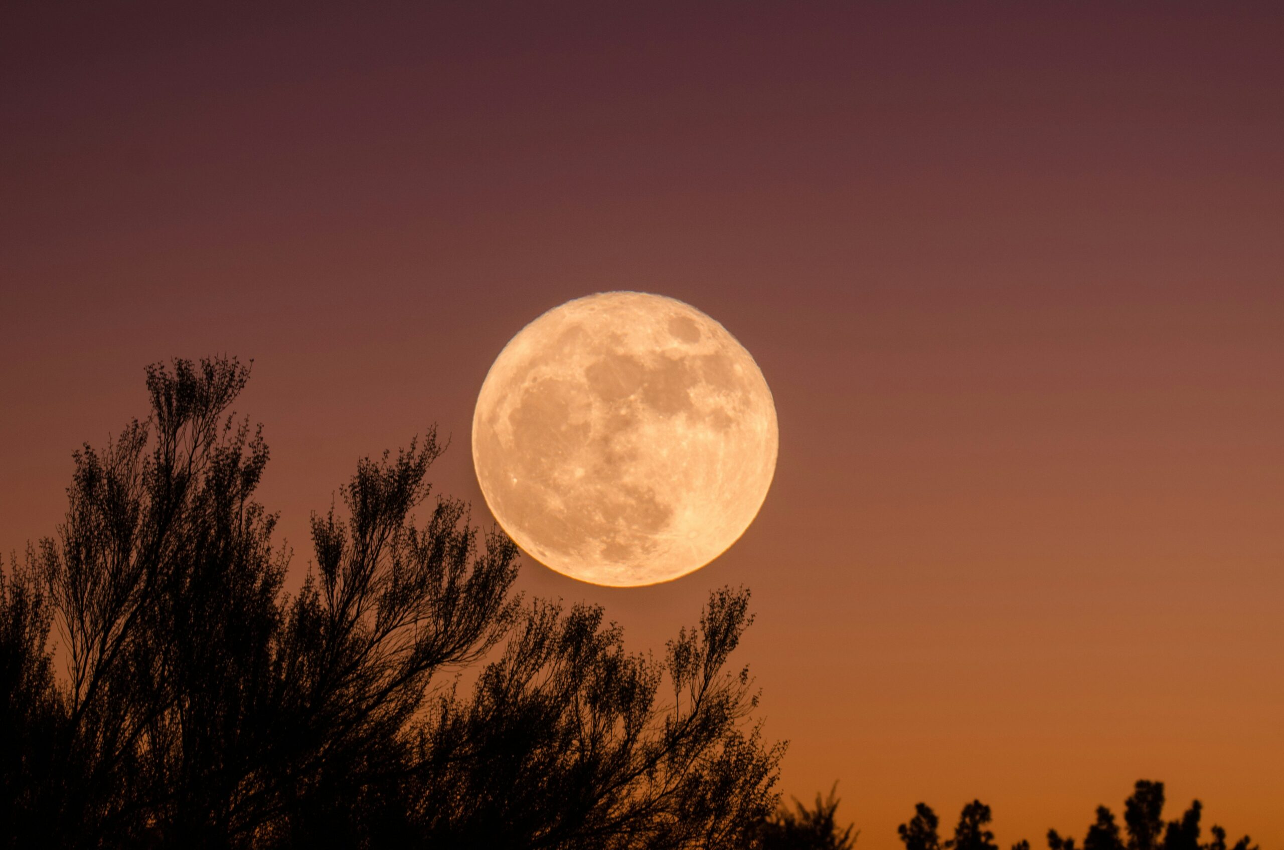 Why Is the Moon Orange Tonight? The Science Behind the Moon’s Unusual Color