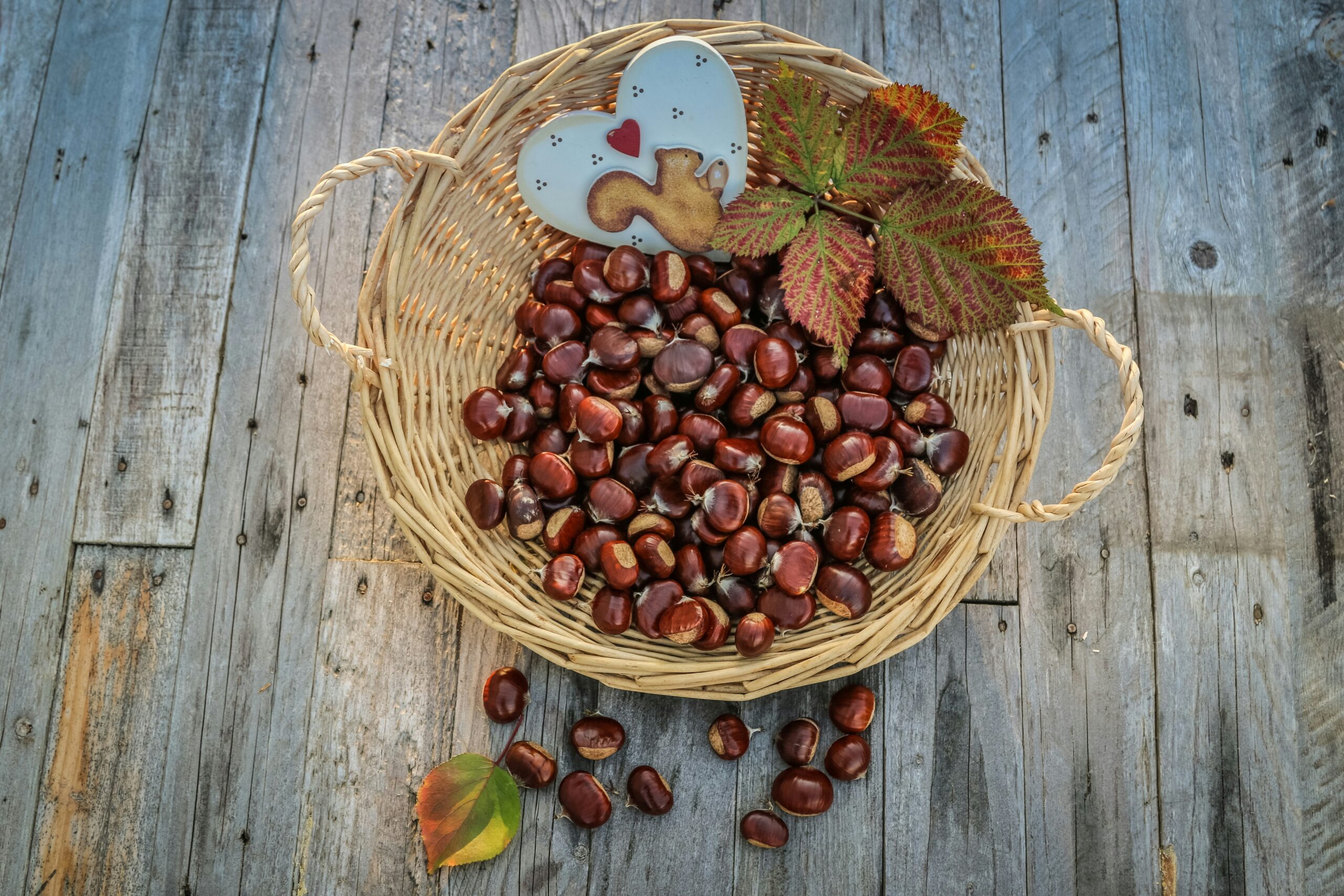 Chestnuts Roasting on an Open Fire featuring holiday traditions, song history, roasted chestnuts, festive lyrics, and home roasting tips.