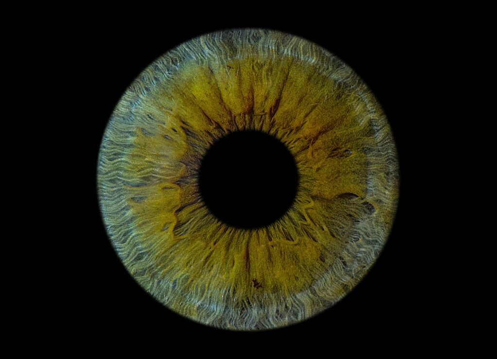 How to make eye dilation go away faster with practical eye care tips