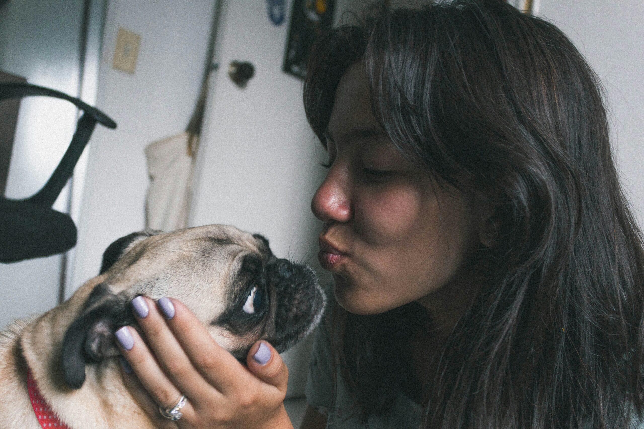 Why does my dog lick my face aggressively? Learn common reasons behind intense licking and canine behavior.