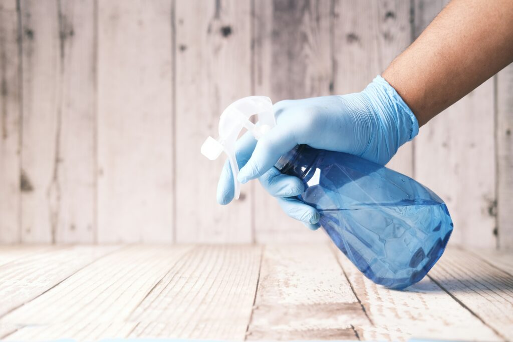 How to Get Rid of Sugar Ants: Kitchen surface showing sugar ants near food crumbs with effective cleaning and ant control solutions.
